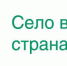 СВЕДЕНИЯ О ПОГОЛОВЬЕ СЕЛЬСКОХОЗЯЙСТВЕННЫХ ЖИВОТНЫХ В ЧУВАШСКОЙ РЕСПУБЛИКЕ - Газета Вперёд