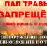 Беспечное, неосторожное обращение с огнем при сжигании сухой травы, мусора на территории дач, домов зачастую оборачивается бедой! - Газета Вперёд