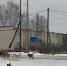 Закон на стороне собаки? - Газета Вперёд