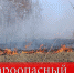 С 1 апреля в Чувашии установлен пожароопасный сезон - Газета Вперёд