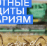 Банки готовы выдать аграриям Чувашии льготные краткосрочные кредиты на сумму свыше 900 млн рублей - Газета Вперёд