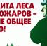 Сохранить леса от пожаров — наше общее дело! - Газета Вперёд