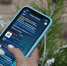 Для экспортеров Чувашии создали Telegram-канал - Газета Вперёд