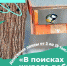 Стартовал всероссийский конкурс экостатей и видеоблогов «В поисках живого добра» - Город Шумерля