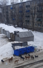 Каждый в ответе