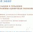 Кристина Майнина расскажет о реализации нацпрограммы «Цифровая экономика Российской Федерации» в прямом эфире ВКонтакте - Газета Вперёд
