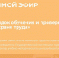 16 сентября пройдет прямой эфир на тему "Новый порядок обучения и проверки знаний по охране труда" - Шумерлинский район