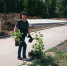 22 мая дан старт реализации проекта  по озеленению и благоустройству территории стационарного отделения Шумерлинского комплексного ЦСОН - Шумерлинский район