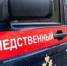 Рисунок1.jpg - Шумерлинский район